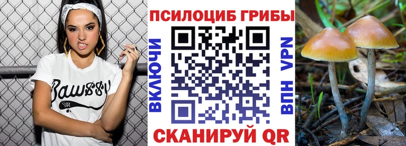 площадка Telegram  Магас  Галлюциногенные грибы Psilocybine cubensis 